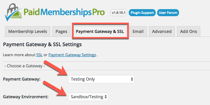 Paid Memberships Pro Payment Gateway